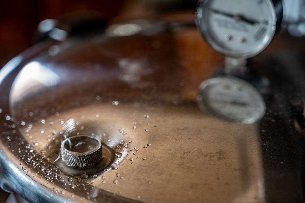The Benefits and Risks of Pressure Cookers for Grandparents That Live Alone