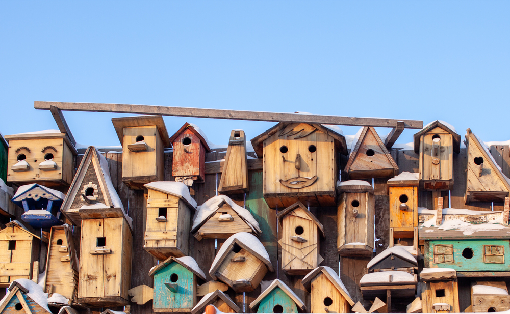 How Building Bird Houses can be Helping Grandparents and Nature