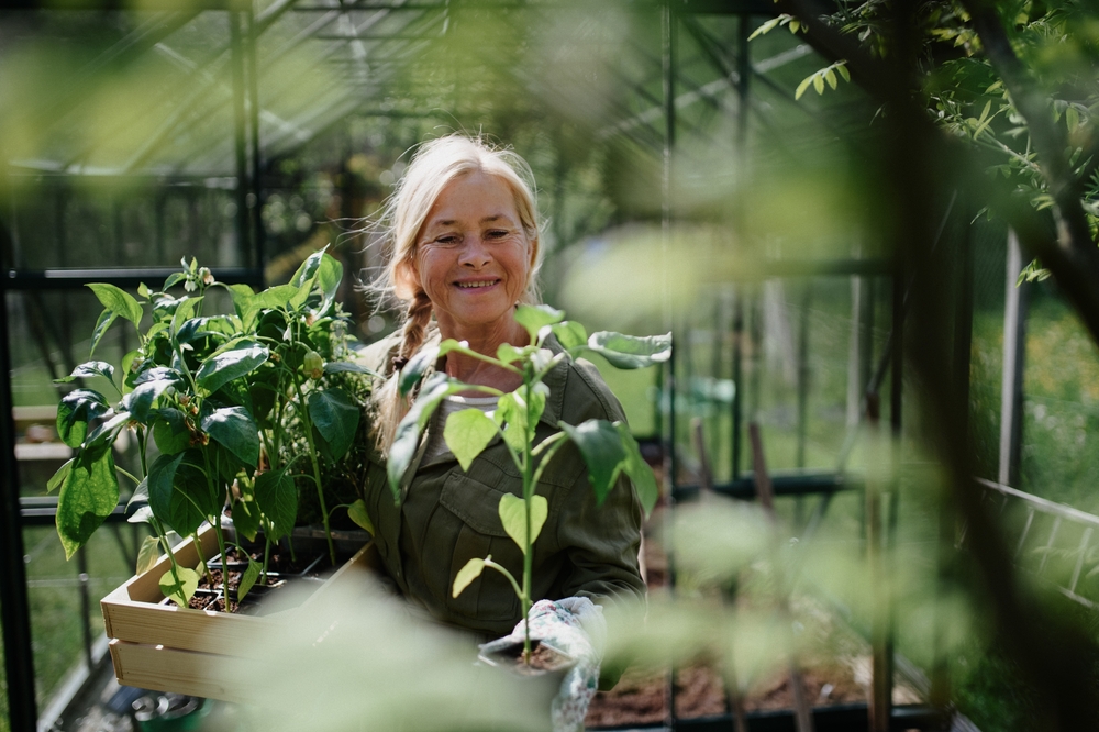 Discover the Joy of Gardening in Your Golden Years a Sustainable and Fun Way to Stay Active and Engaged