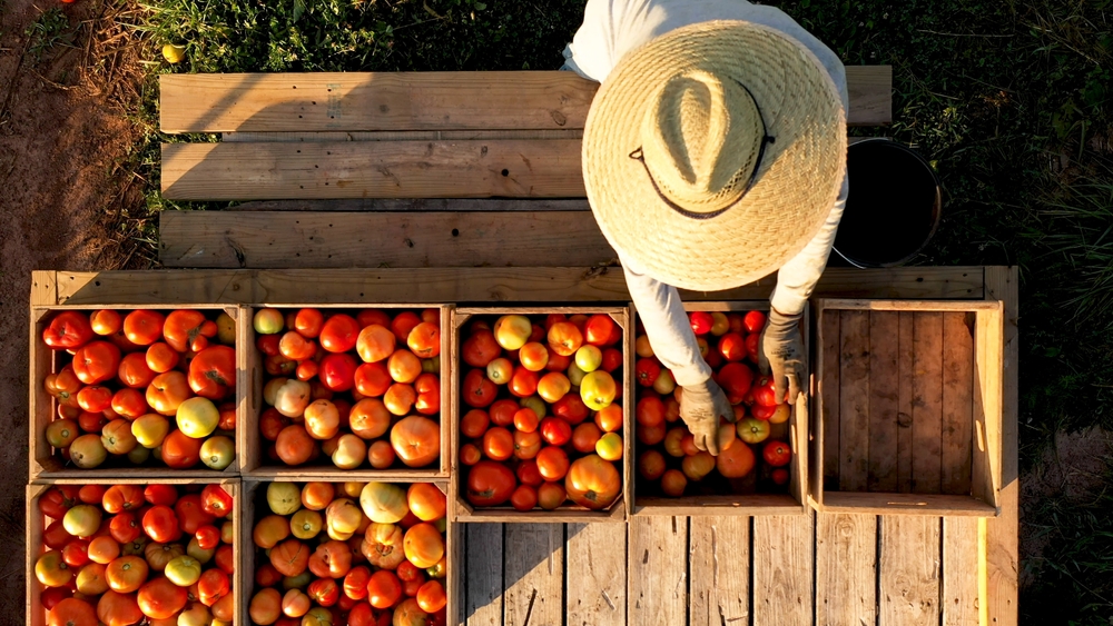 The Fruitful Secret to Grandparents’ Health: Why Two Pieces of Fruit Daily are Essential