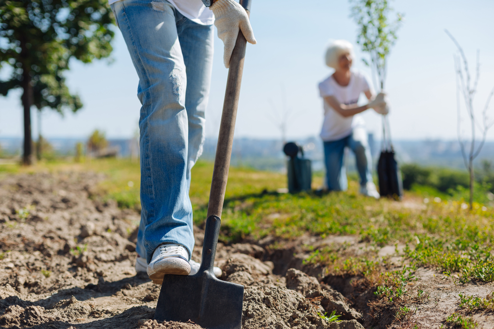 Unlocking the Power of Altruism: The Remarkable Benefits of Volunteering and Giving Back